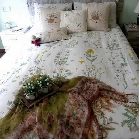 Apartment Cases Roses