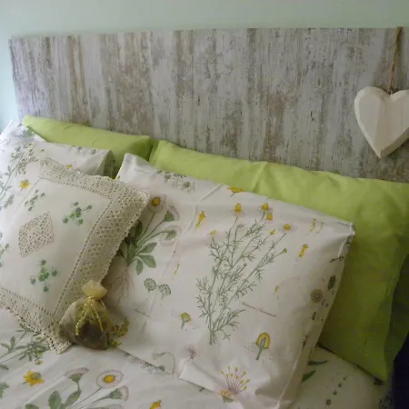 Apartment Cases Roses