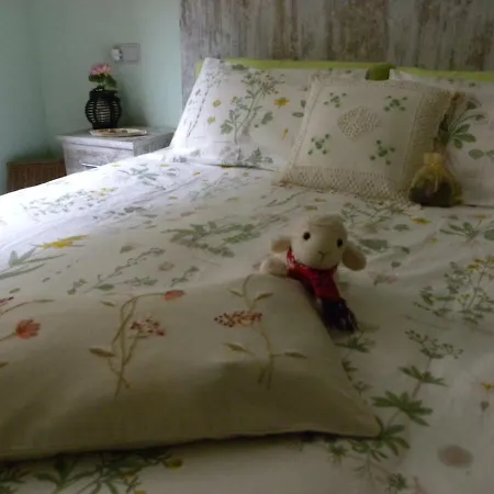 Apartment Cases Roses *